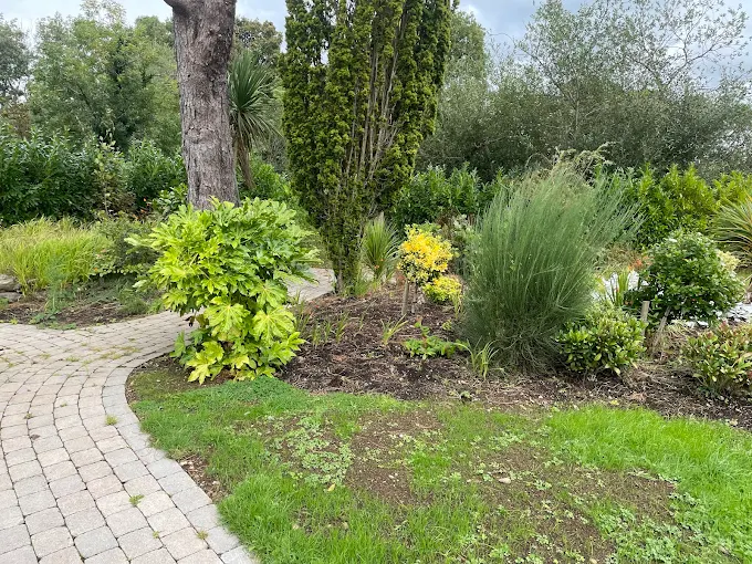 Complete Garden Maintenance